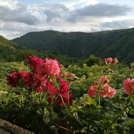 кануш войвода Guest house