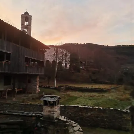 кануш войвода 3*