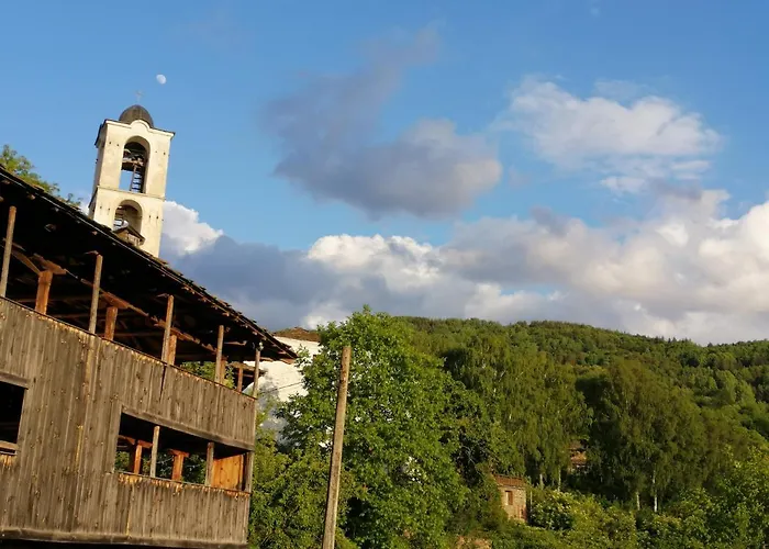 кануш войвода 3*