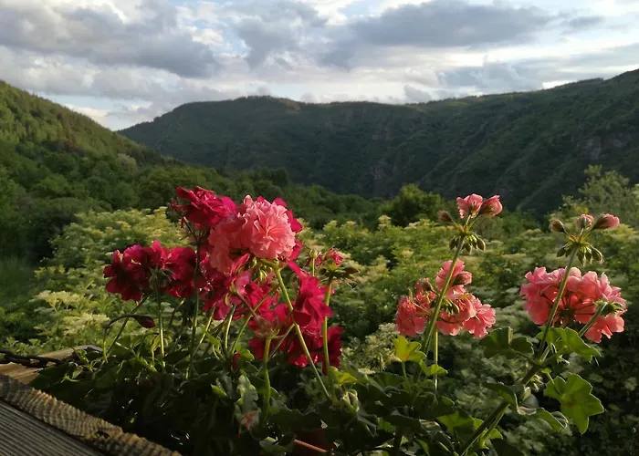 кануш войвода Къща за гости
