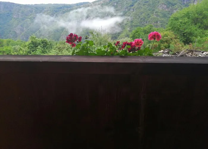 кануш войвода 3* Ковачевица