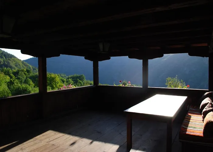 кануш войвода 3*