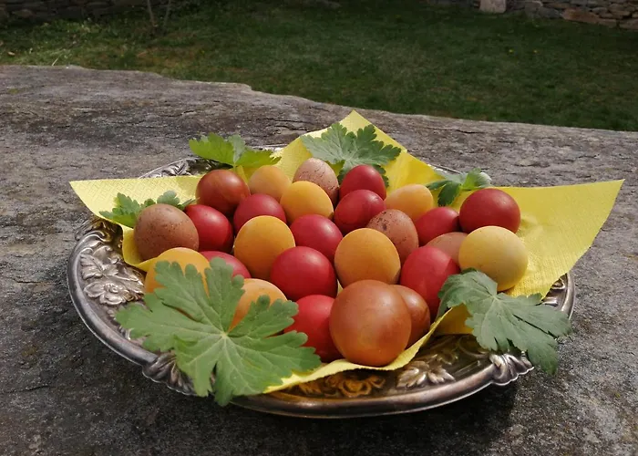 кануш войвода Къща за гости